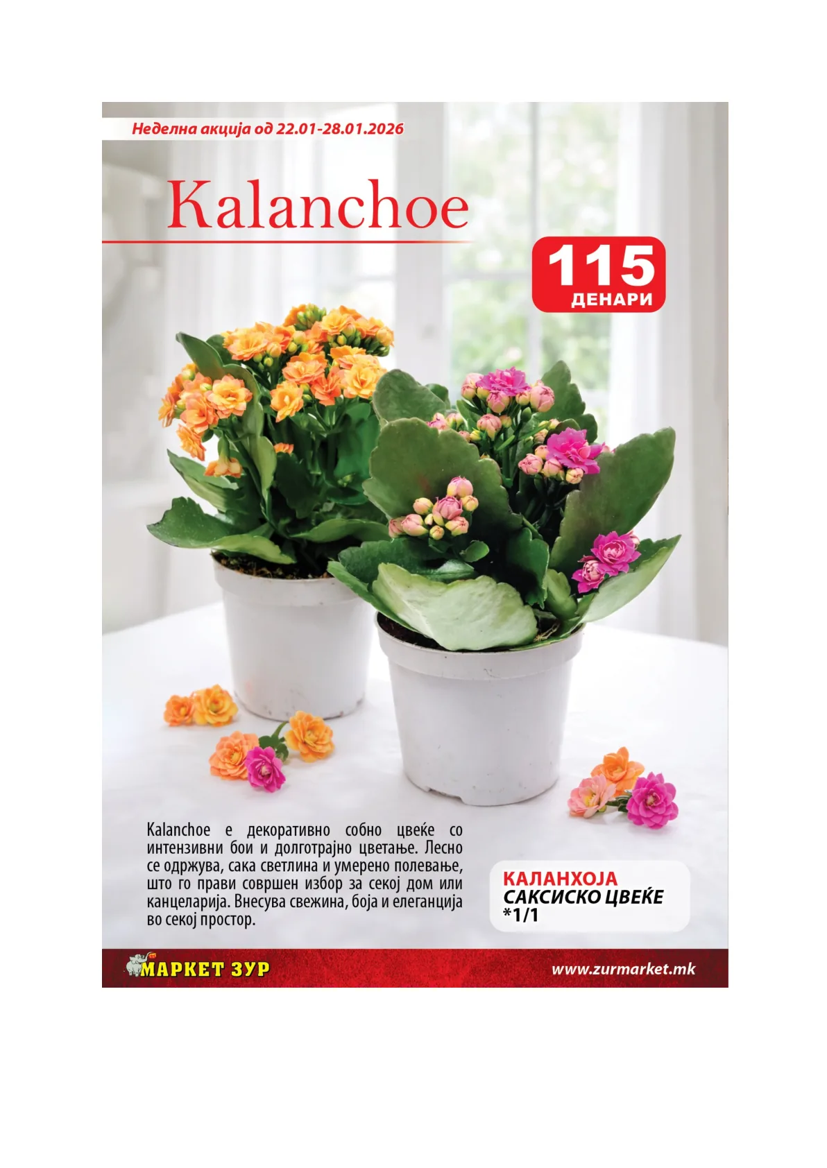 ЗУР КАТАЛОГ page 9